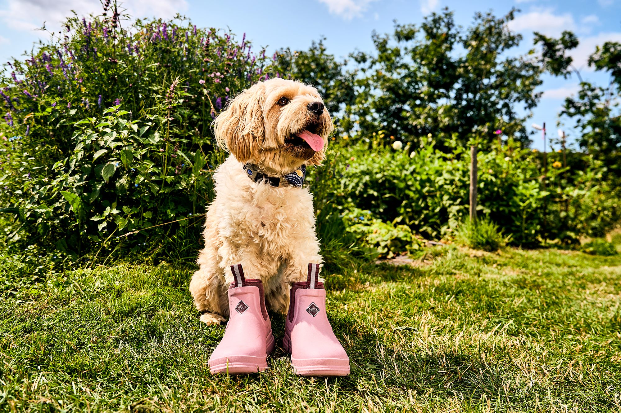 Muck Pink Selects Social (40)